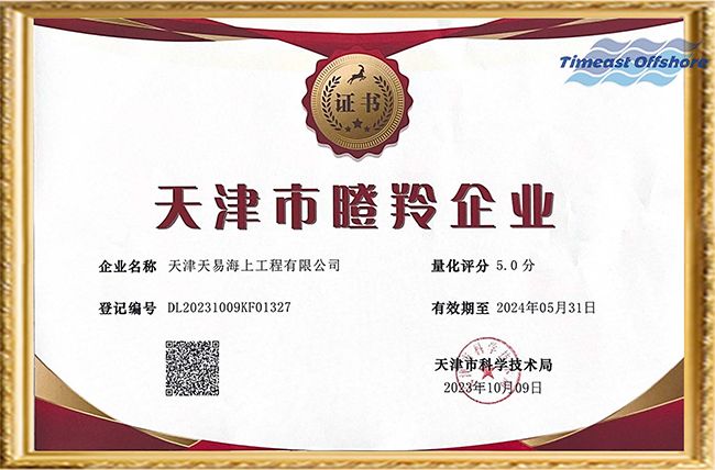 喜报丨55世纪海工荣获“天津市创新型中小企业”和“天津市瞪羚企业”双重认定 喜报丨55世纪海工荣获“天津市创新型中小企业”和“天津市瞪羚企业”双重认定